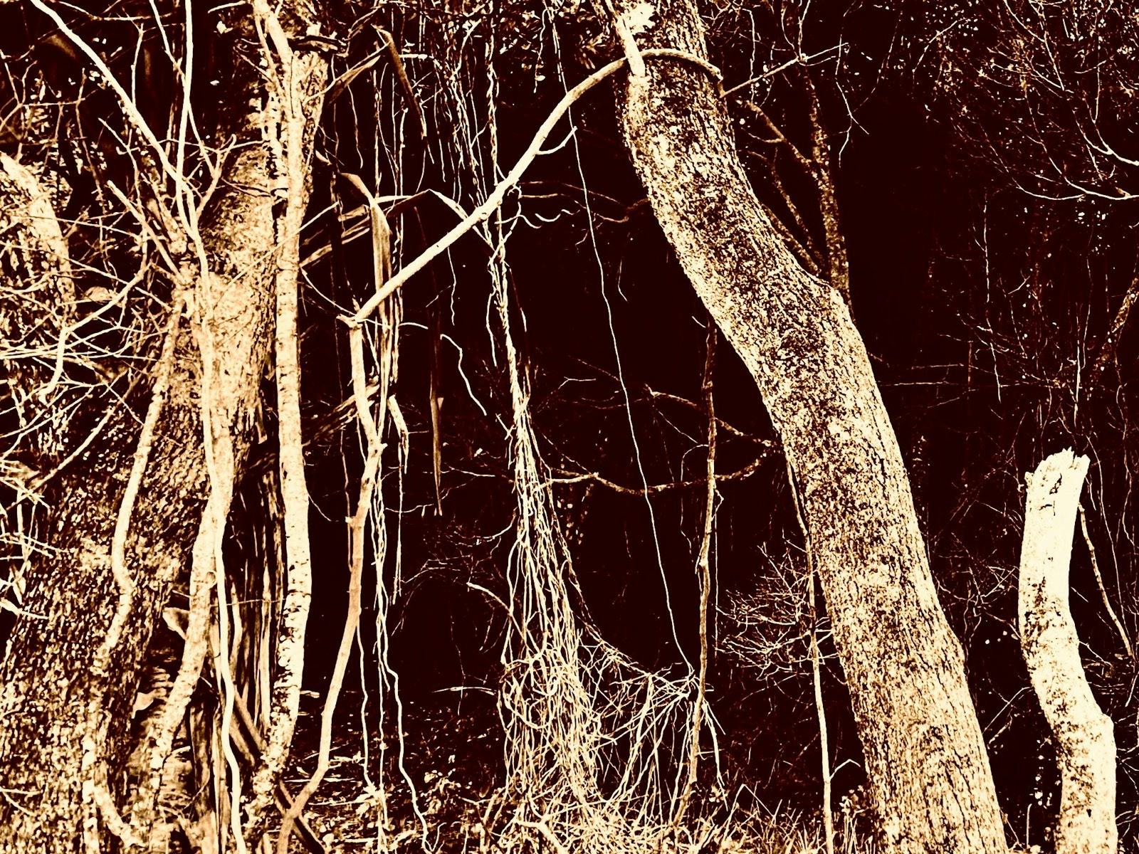Photo by Al Stark