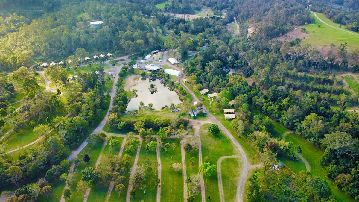 Woodfordia from above