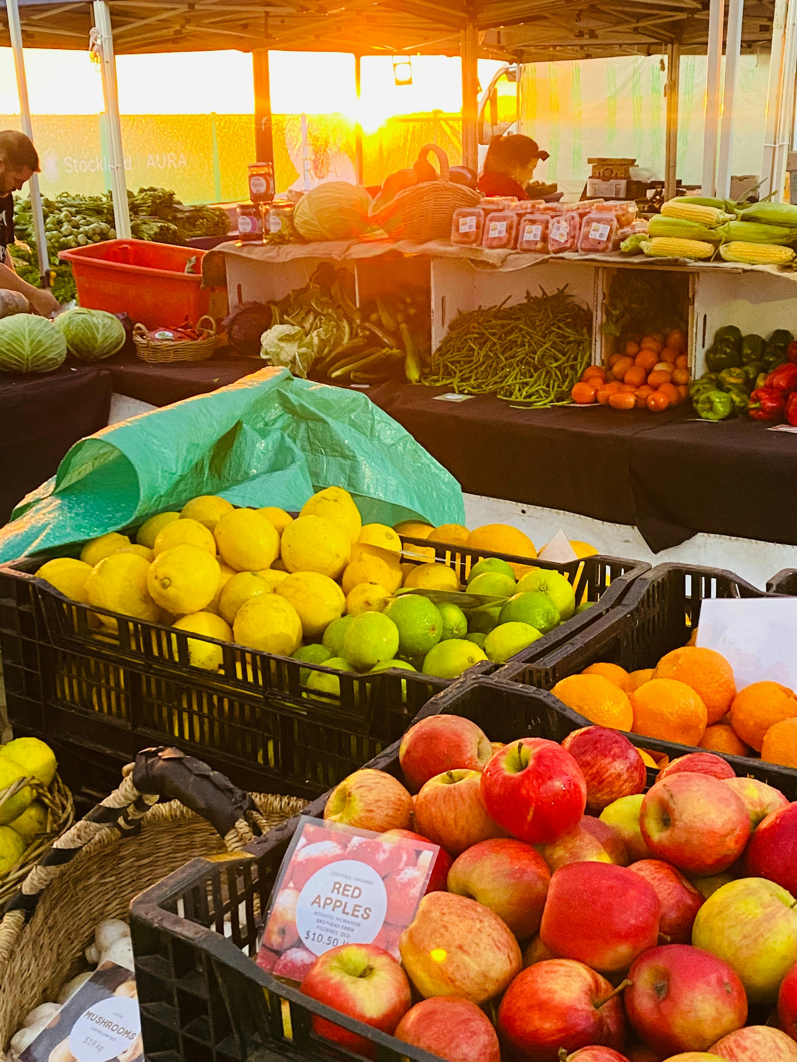 Aura Fresh Markets 2026