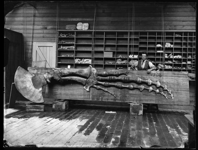 Image of the event 'Capturing Nature: Early photography at the Australian Museum 1857 – 1893'