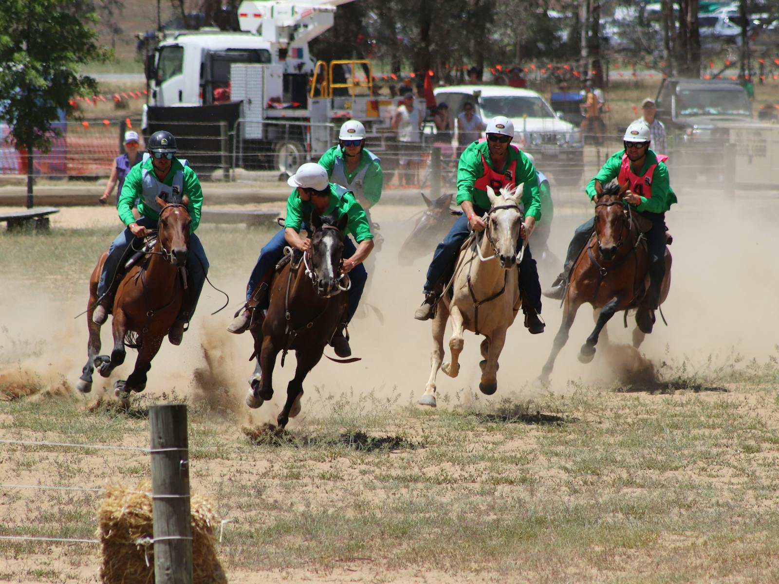 Image for Mountain Cattlemen's  Association of Victoria Get Together