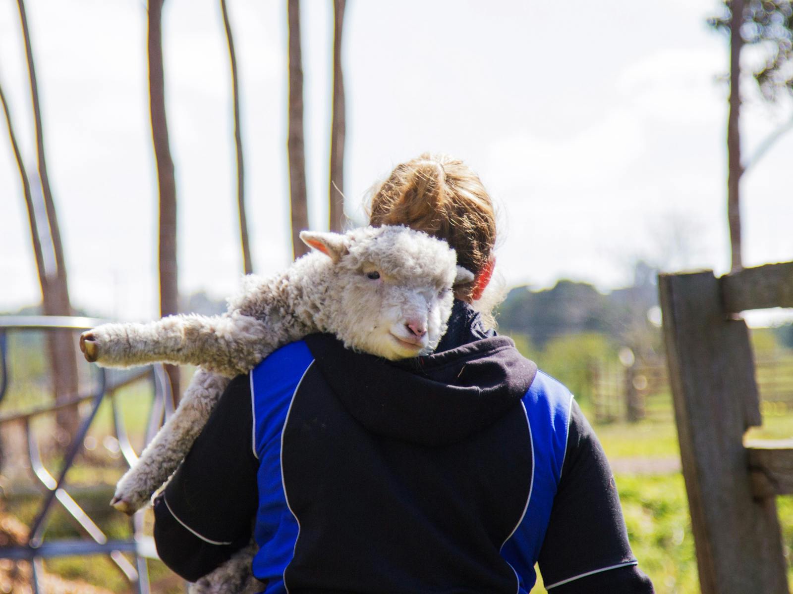 can you carry me mum i'm tired