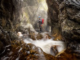 Canyon, Canyoning, Adventure, Tasmania, Cradle Mountain, Tours