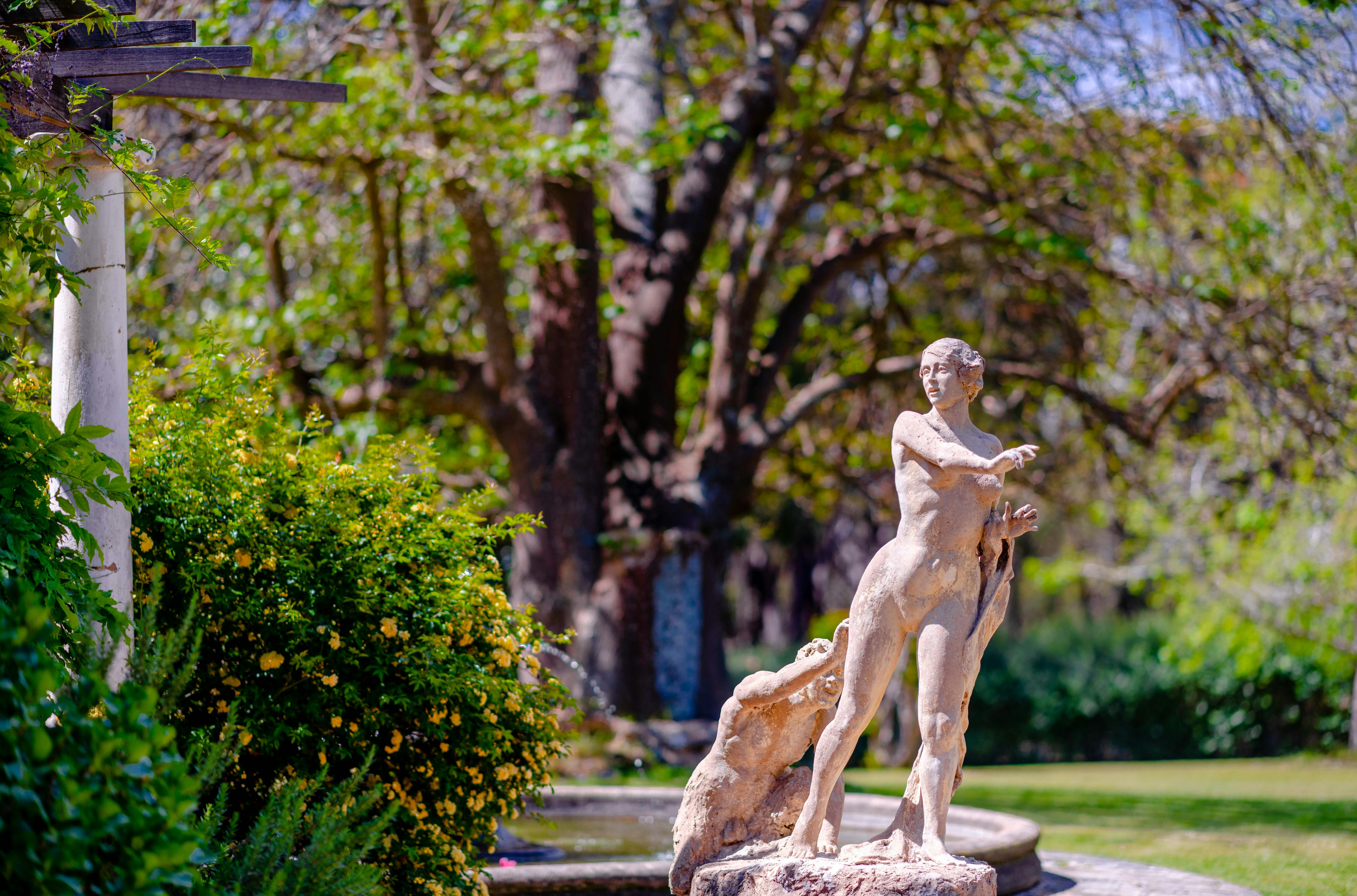 Spring Jazz and Wine in the Garden at Norman Lindsay Gallery