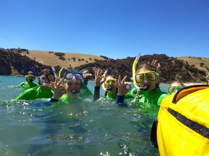 Mighty Yowies Kayaking Snorkeling