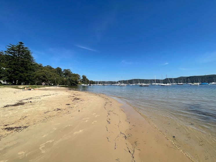 View of Clareville Beach