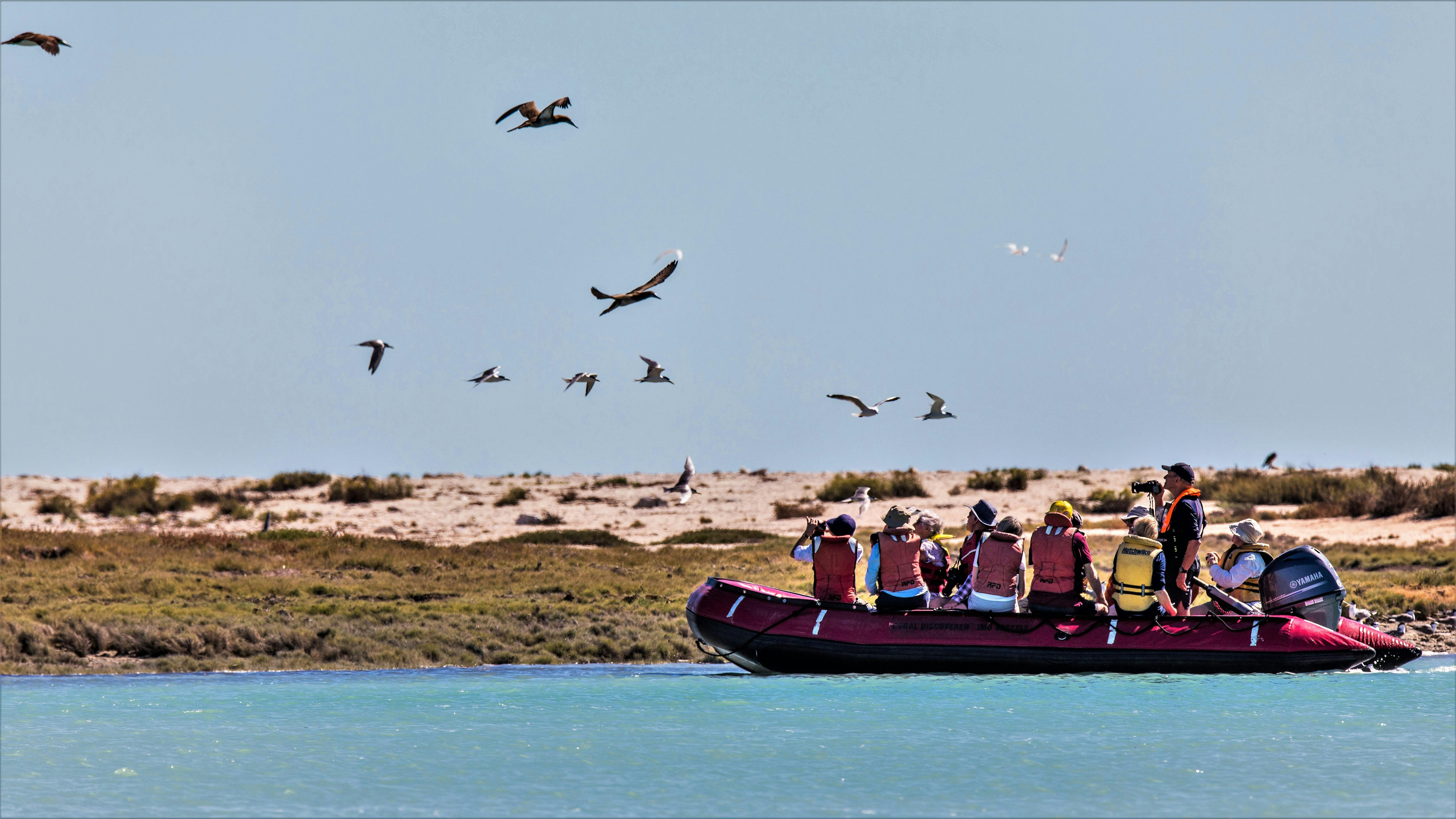 Coral Expeditions The Kimberley Cruise Lacapedes Zodiac