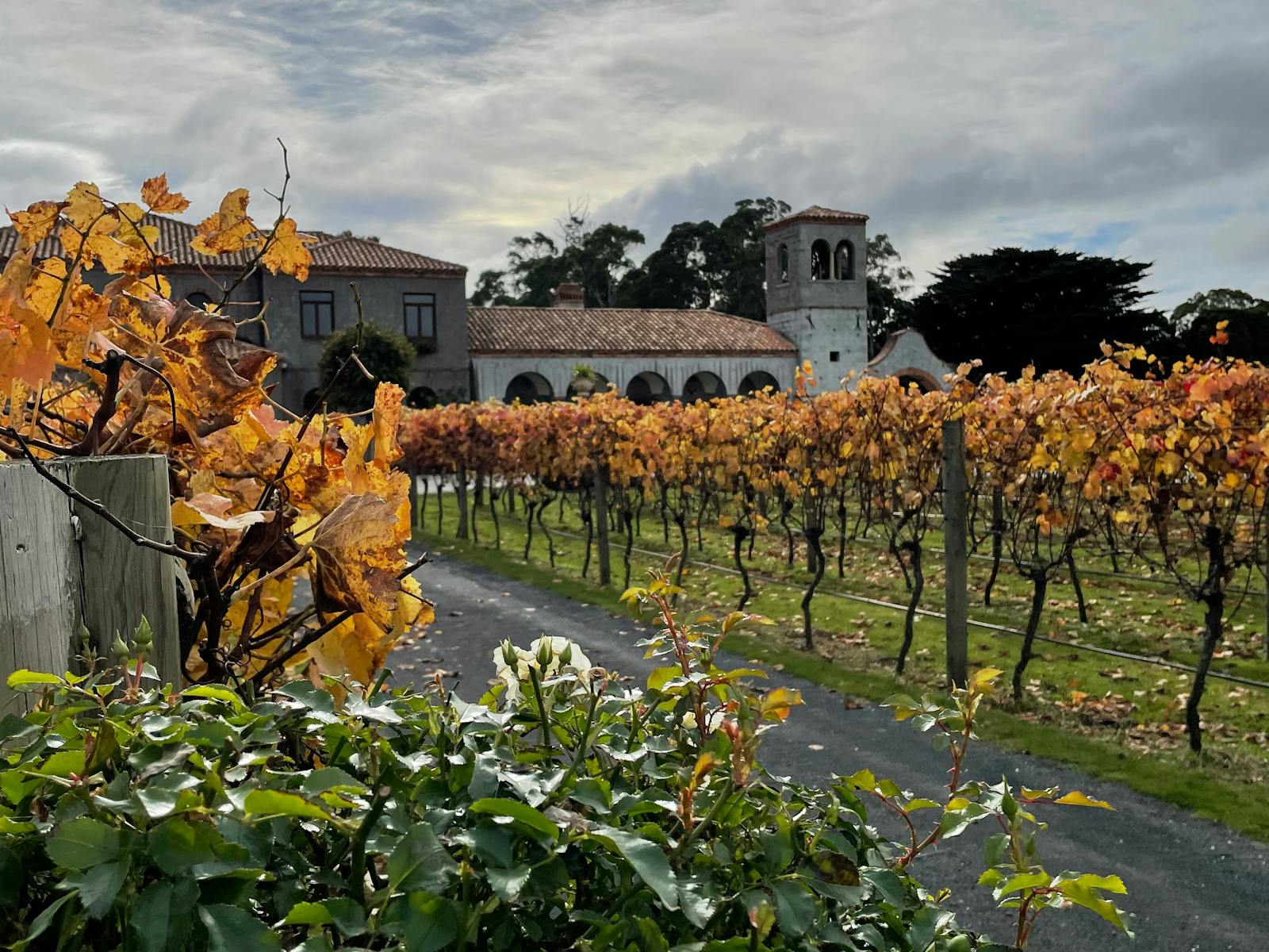 Beautiful Autumn at La Villa Wines