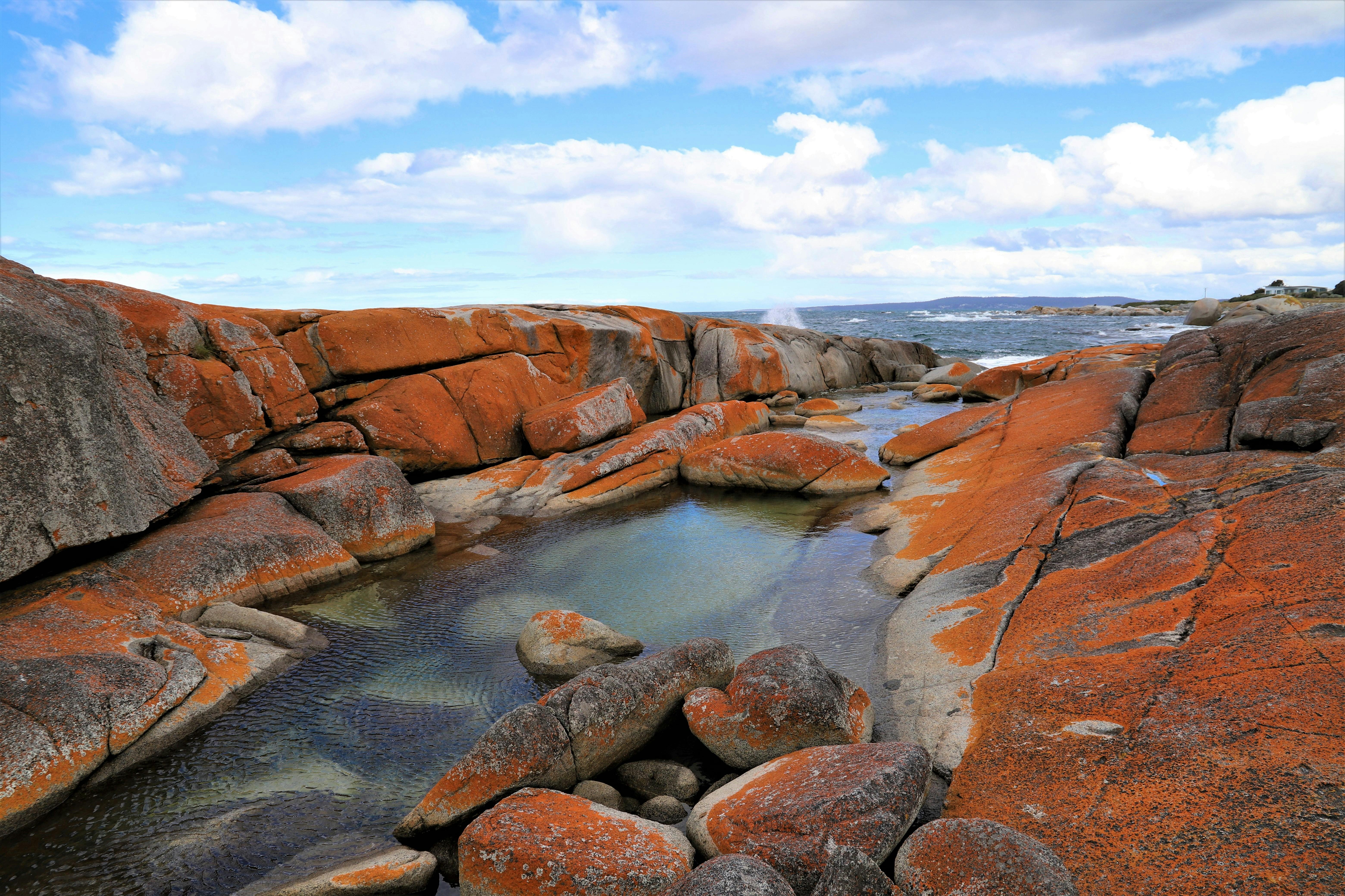 The Gardens Bay of Fires
