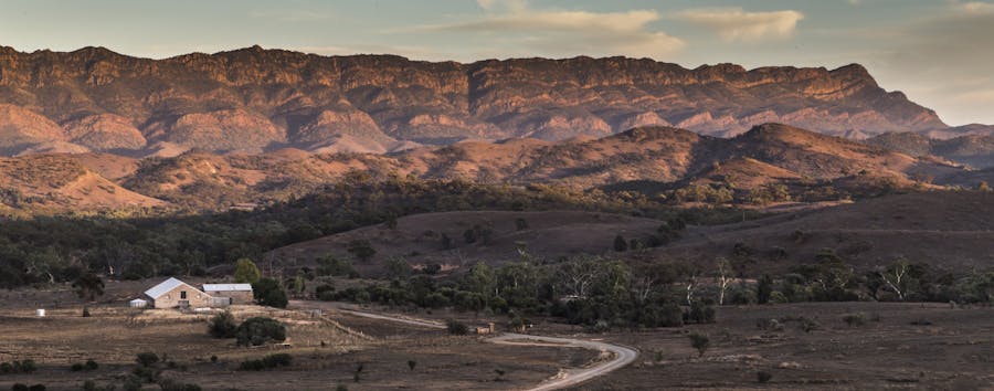 Wine Wilderness Safari