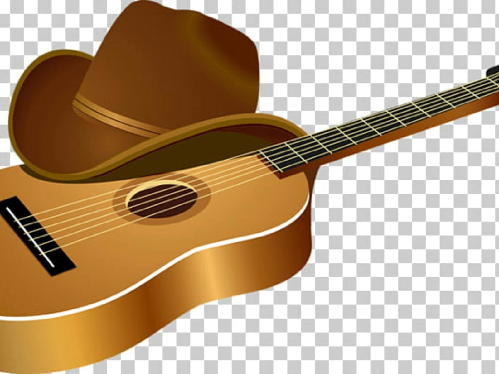 Image for Macarthur Country Music Club