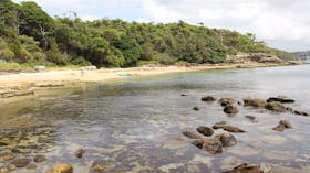 Reef Beach