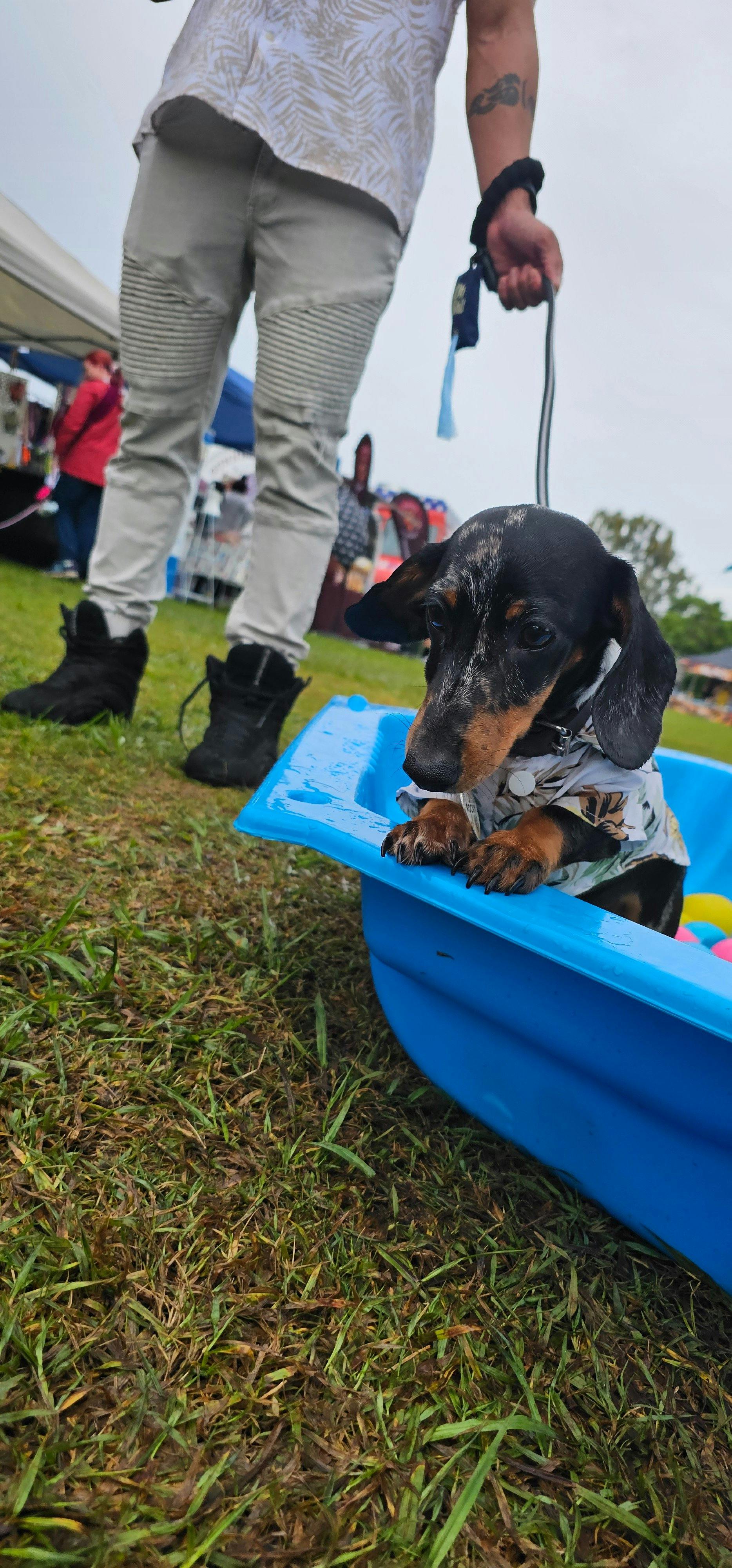 PuppyPalooza - Adventurefest