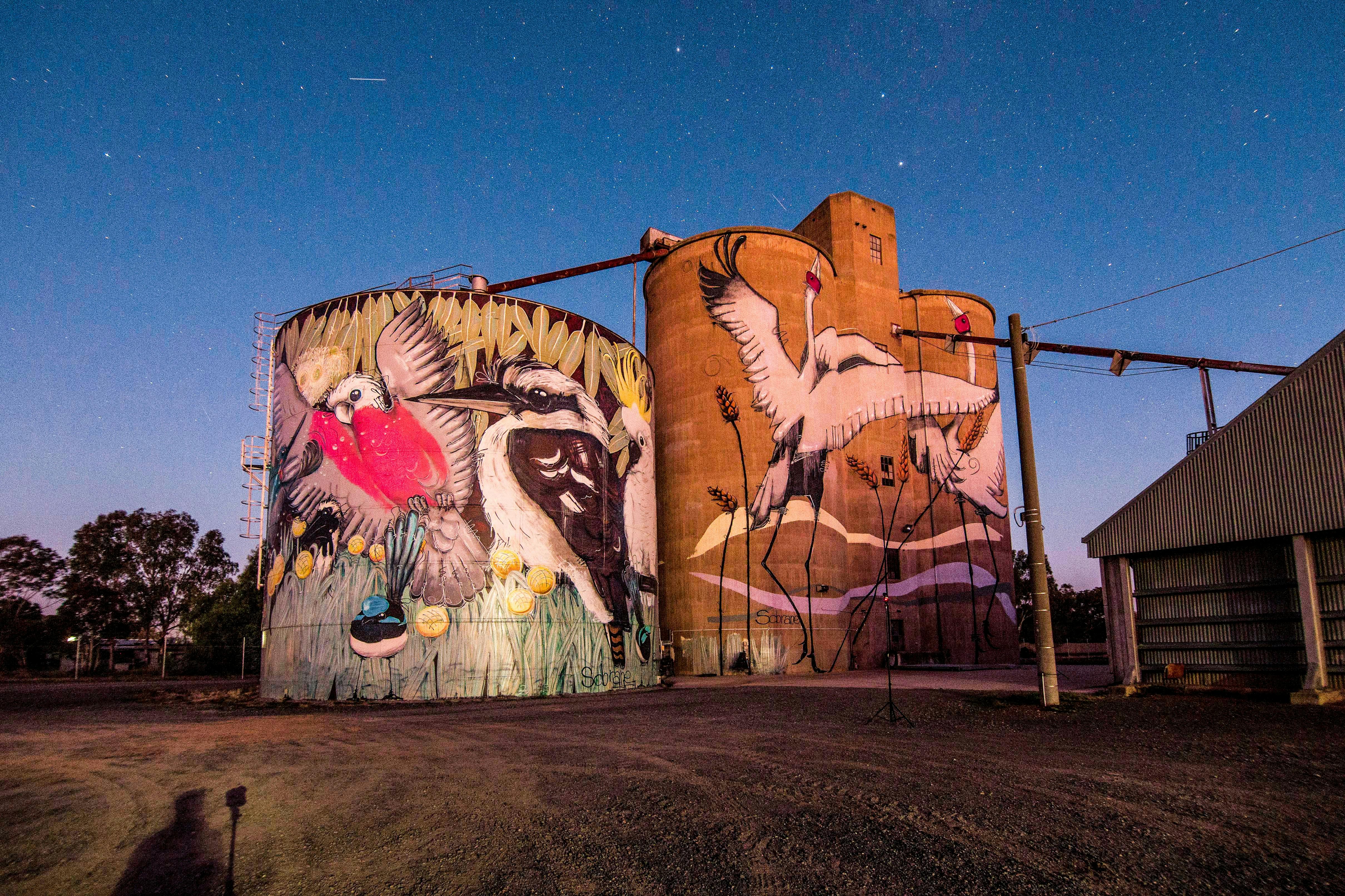 Tungamah Silo Art