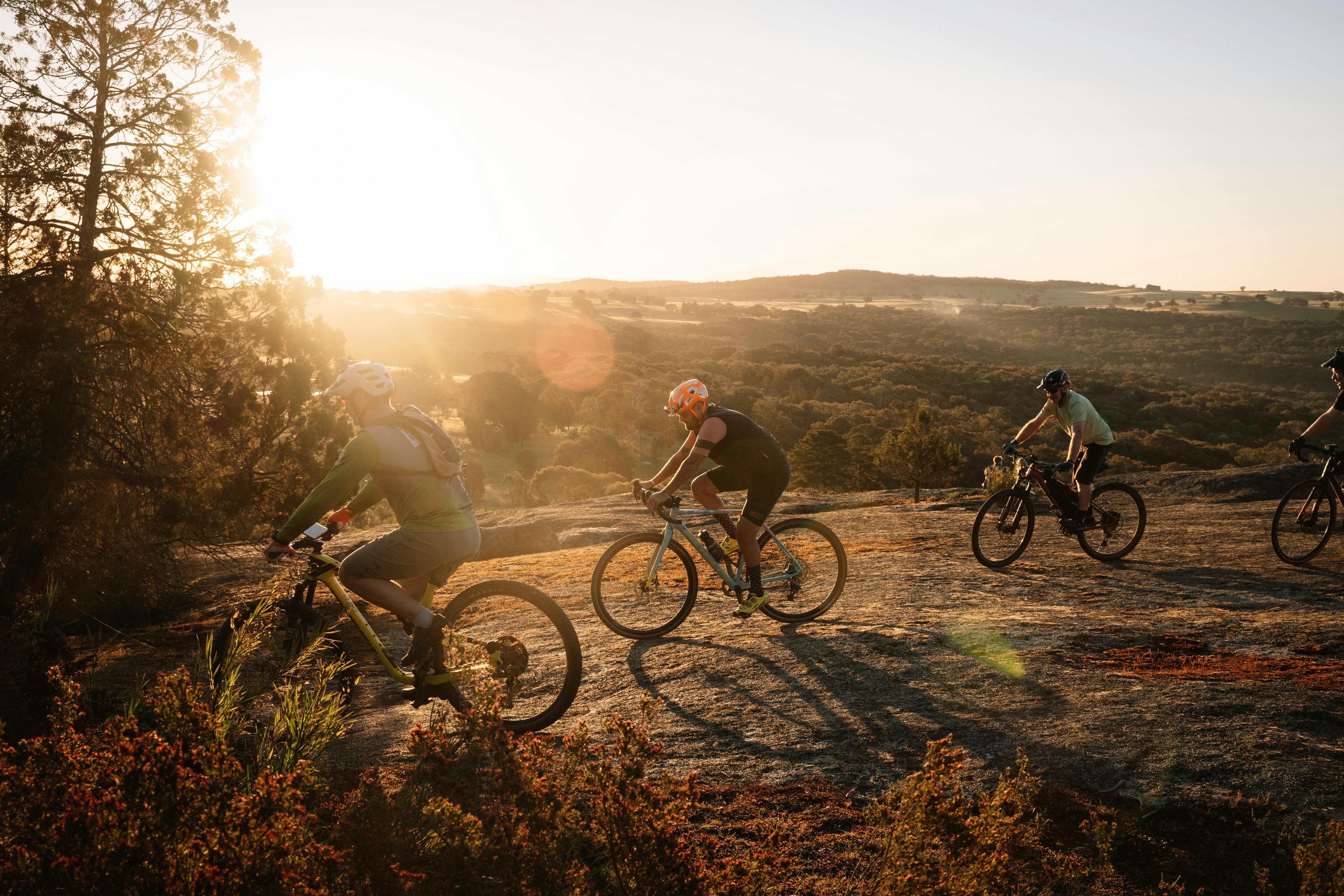 Cyclists in the sunset