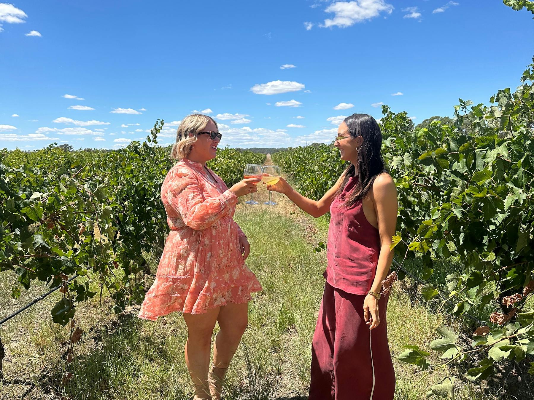 2 Women cheers while standing between grape vine