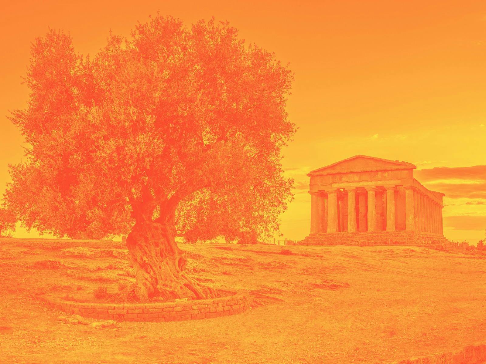A photo of the Spanish valley of temples with a tree in foreground and temple in background