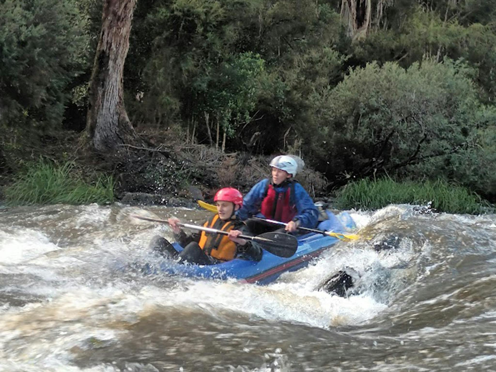 Mitchell River