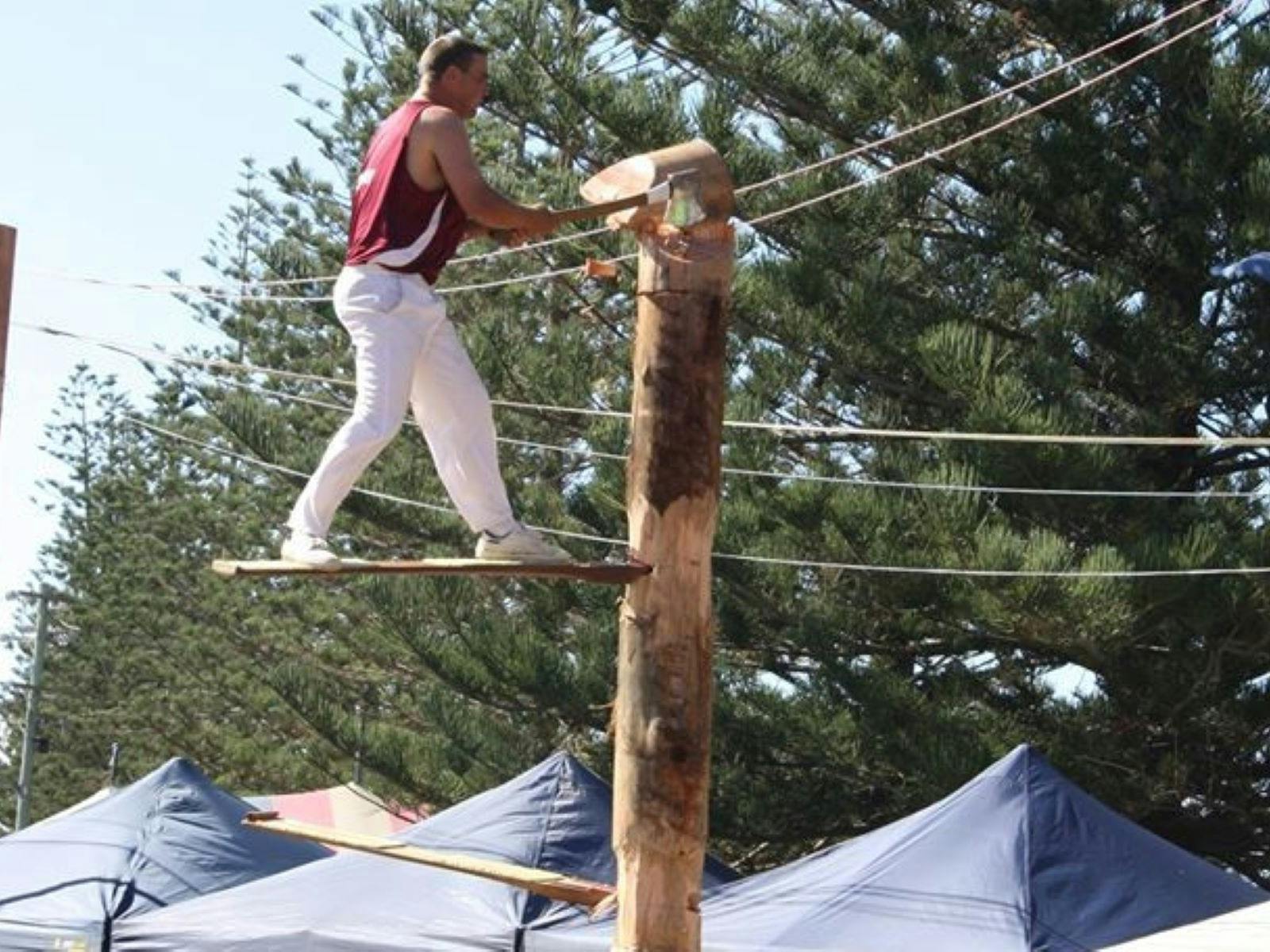 Man chopping wood standing up on pole