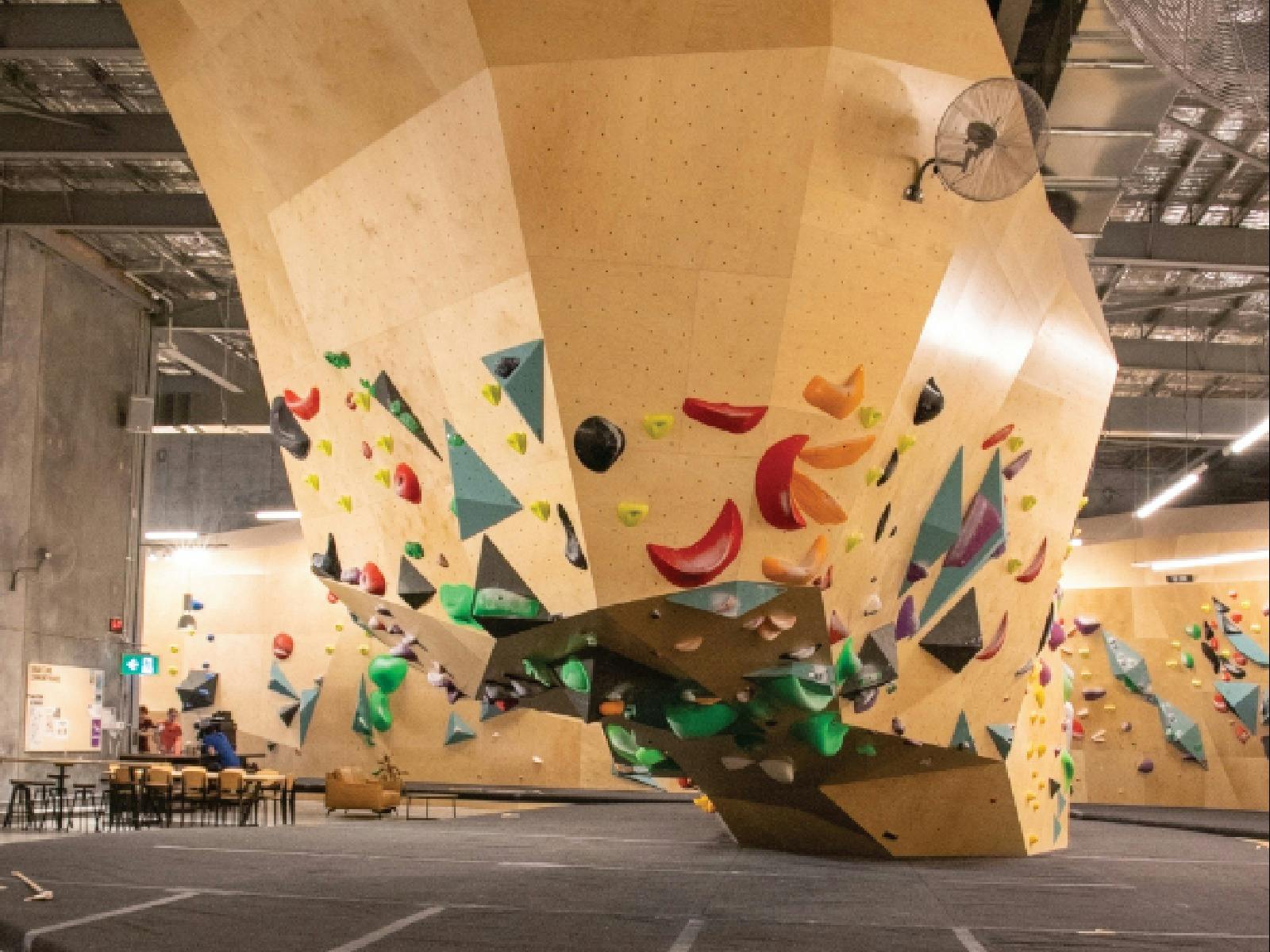 Climbing Wall Climbing Wall