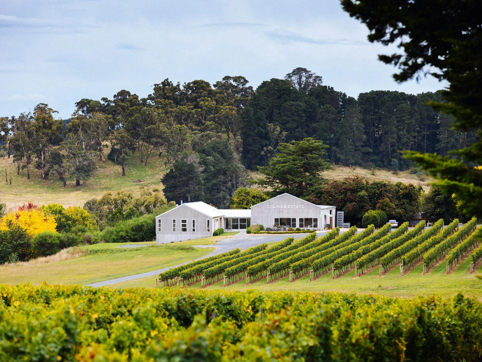 Photo of the cellar door of Colmar Estate, Orange, sitting amongst the vineyard, surrounded by trees