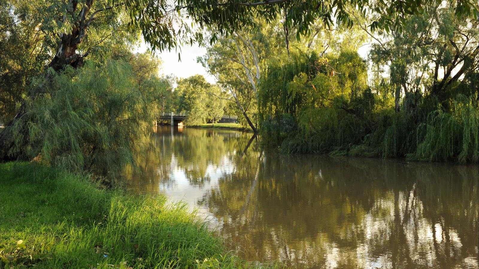 Myall Creek, Dalby