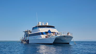 Reef Experience Vessel Reef Experience Vessel