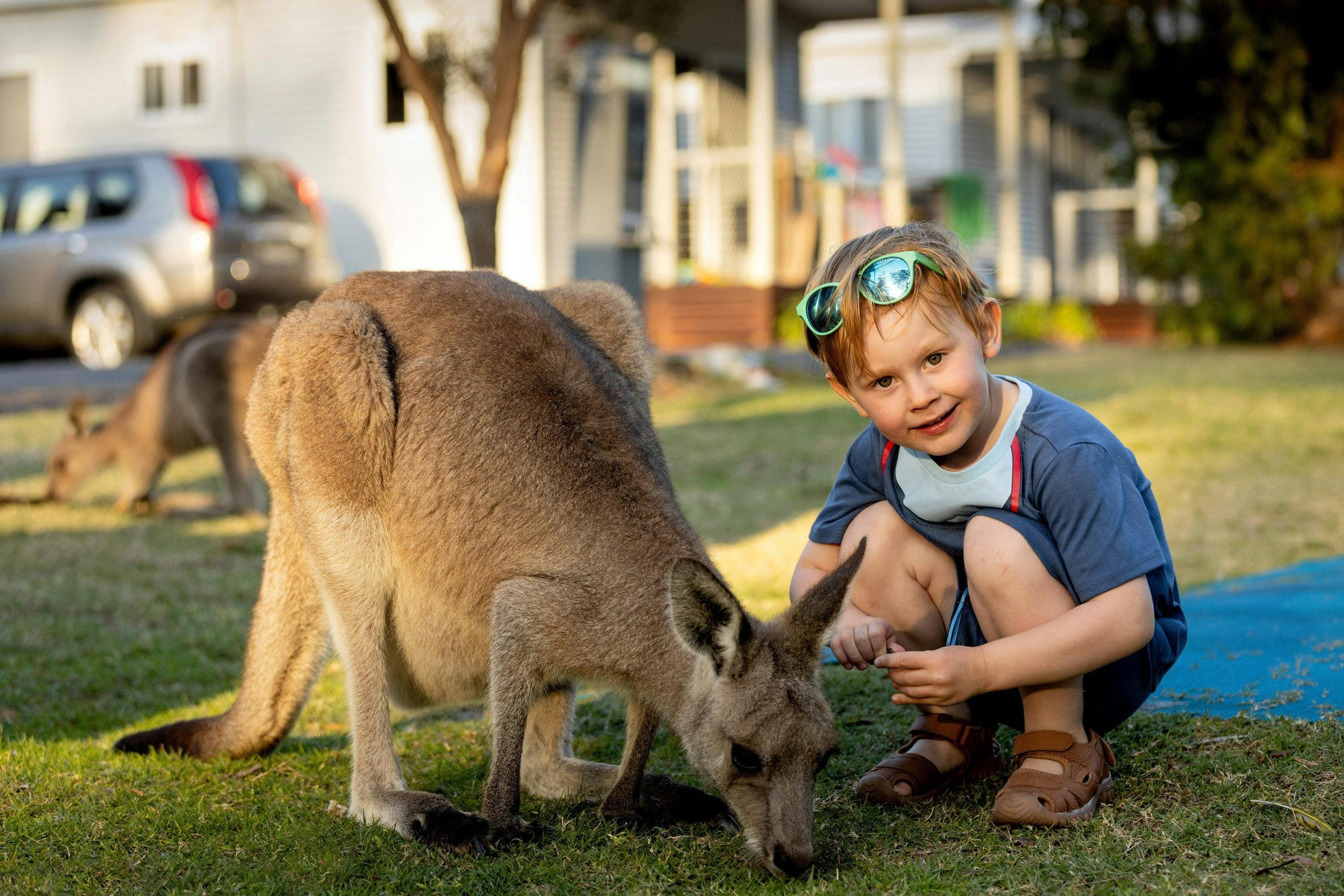 There's a good chance you'll encounter kangaroos during your stay
