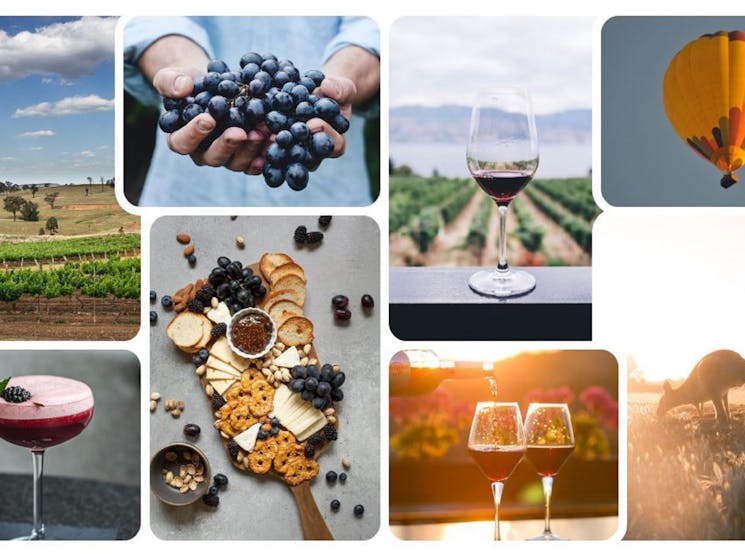 8 pictures of Wine, cheese, grapes, hot air balloon, sunset