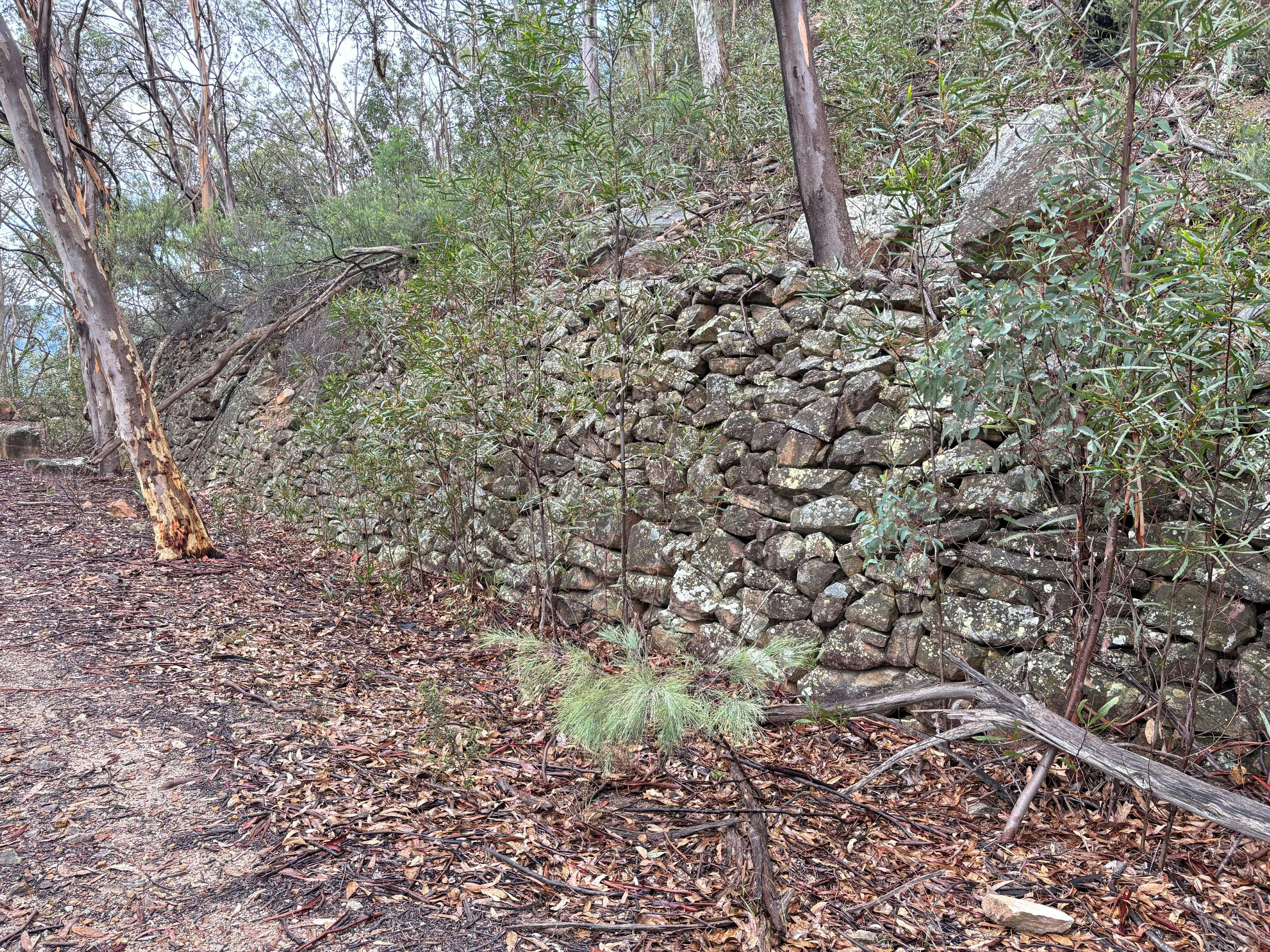 A stone wall lines the bottom of steep slope on the abandoned railway.