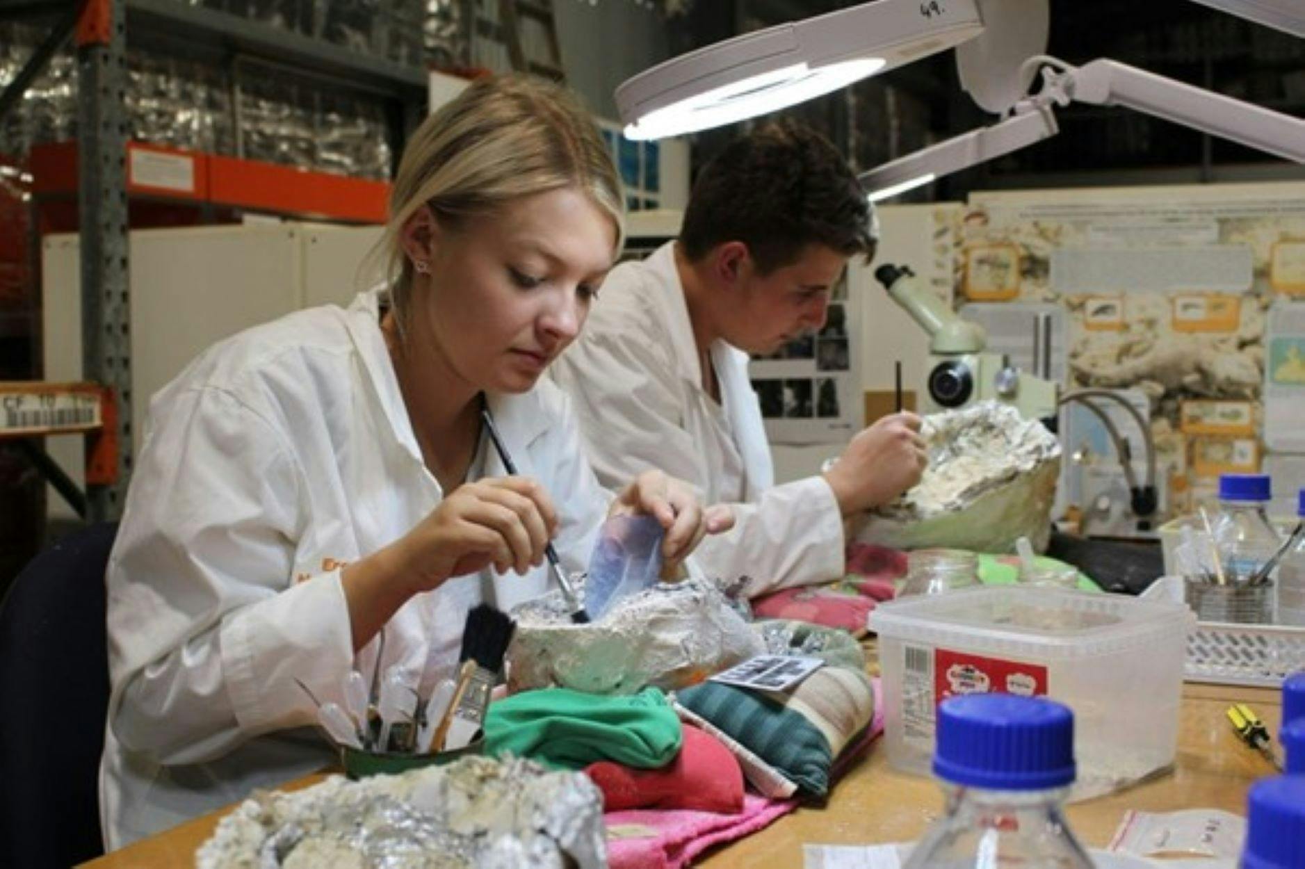 Take a guided tour through the Megafauna lab at the Eromanga Natural History Museum