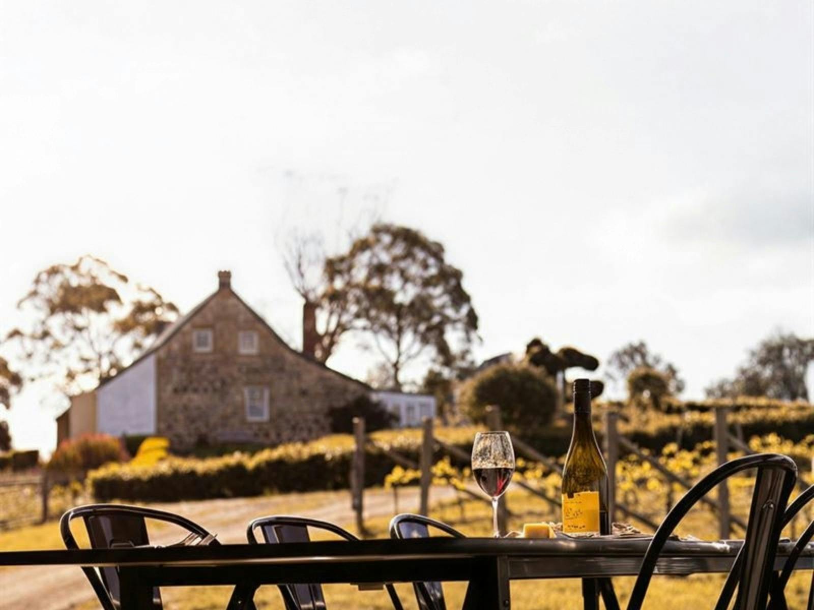 Outdoor dining table with a stone building and vines