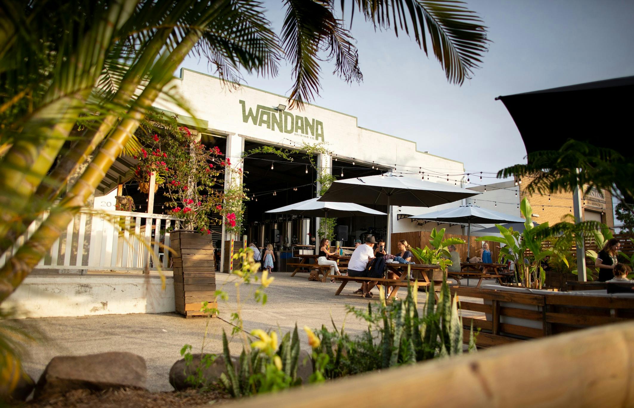 Wandana Brewery Mullumbimby Byron Hinterland beer garden