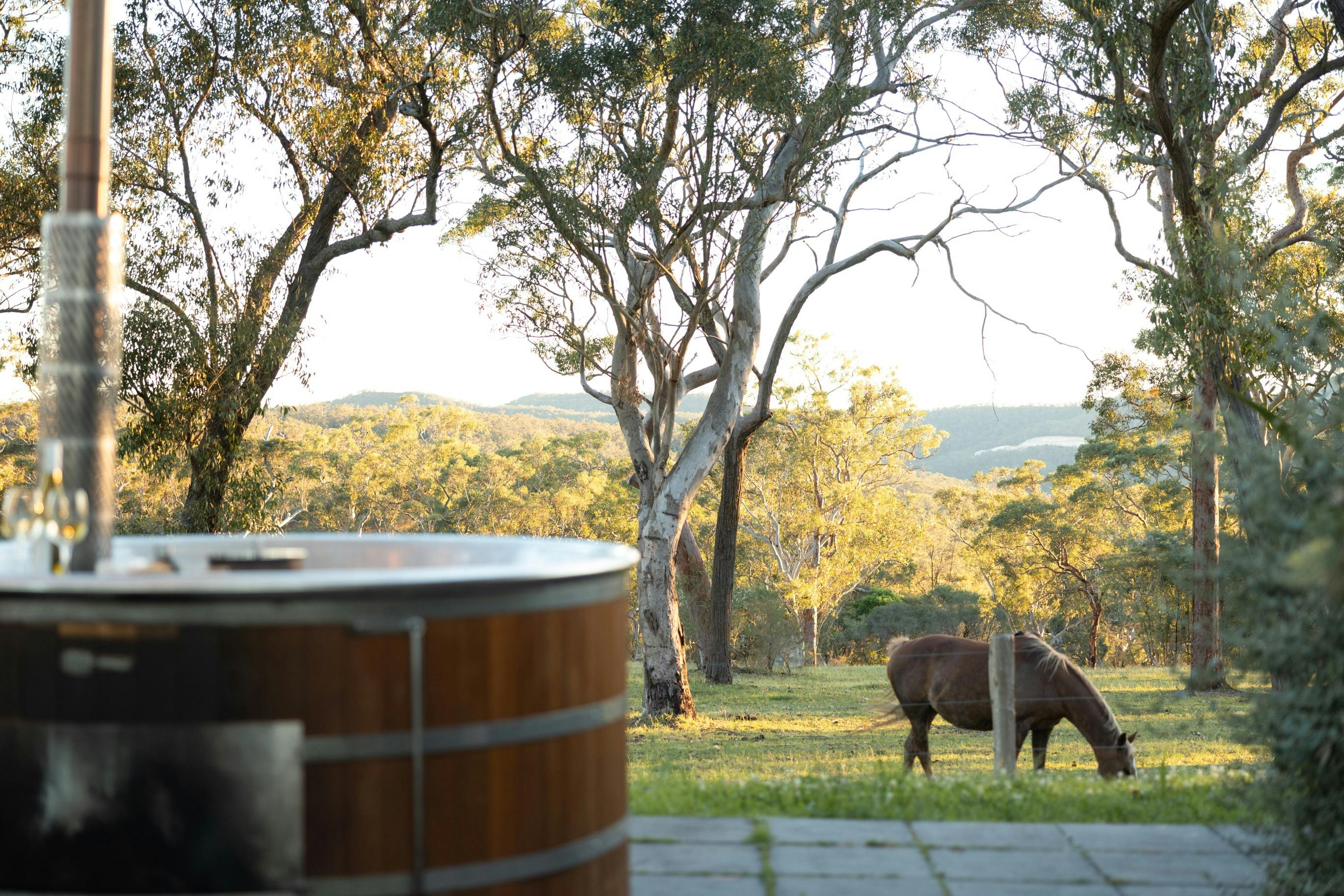 Glenworth Valley Eco Cabins
