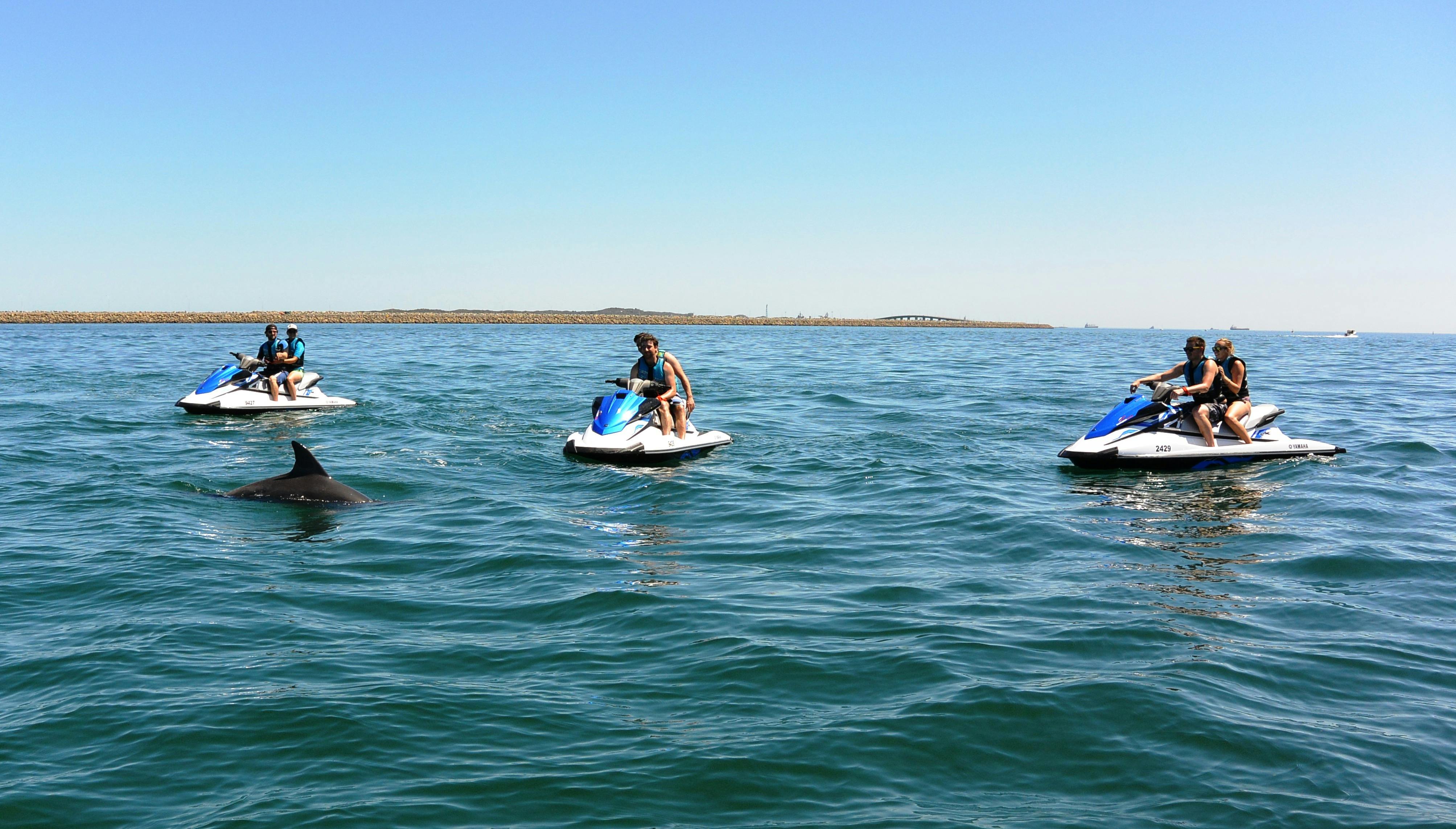 Jet Ski Tours, Rockingham, Western Australia