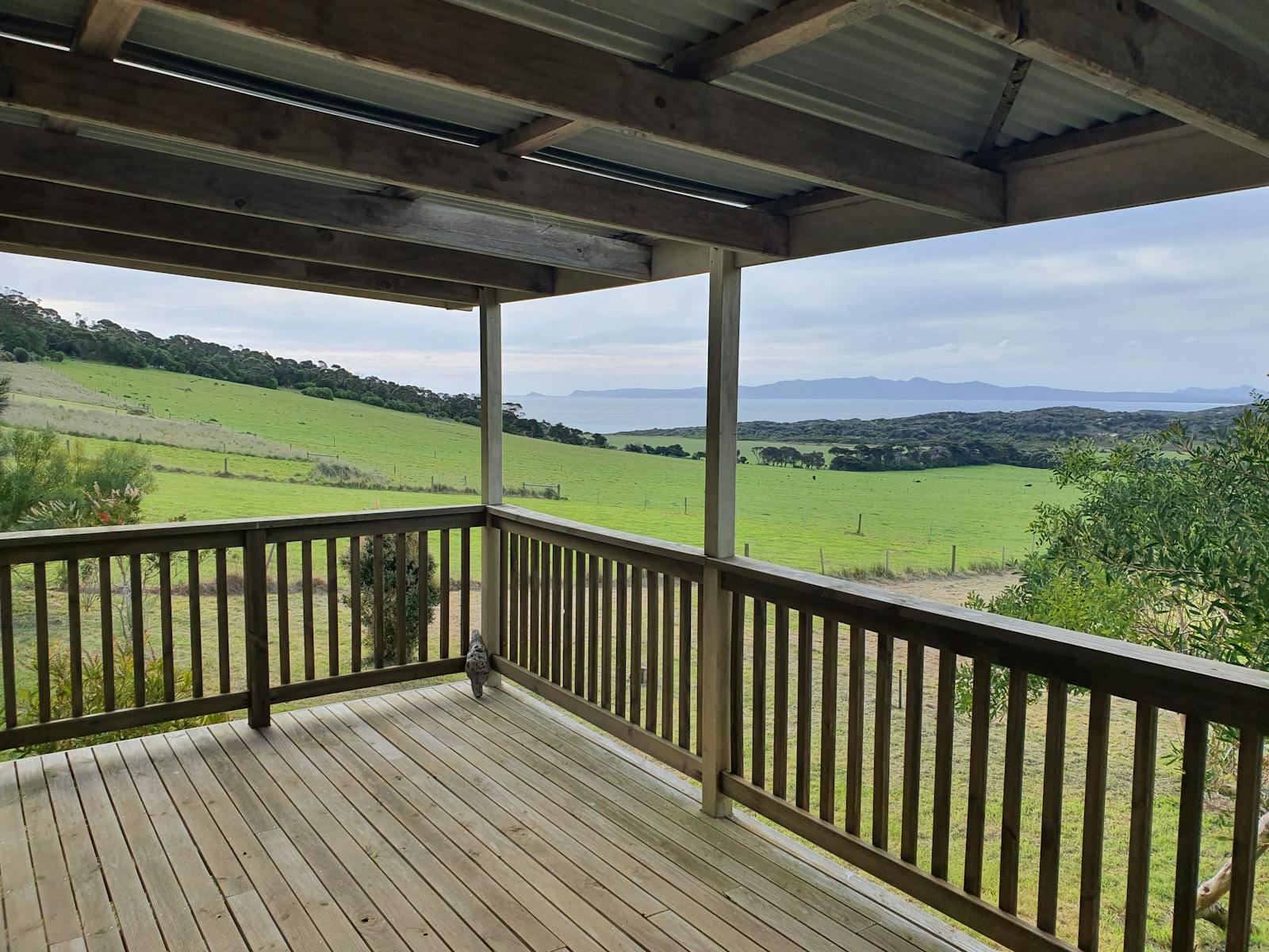 Deck View