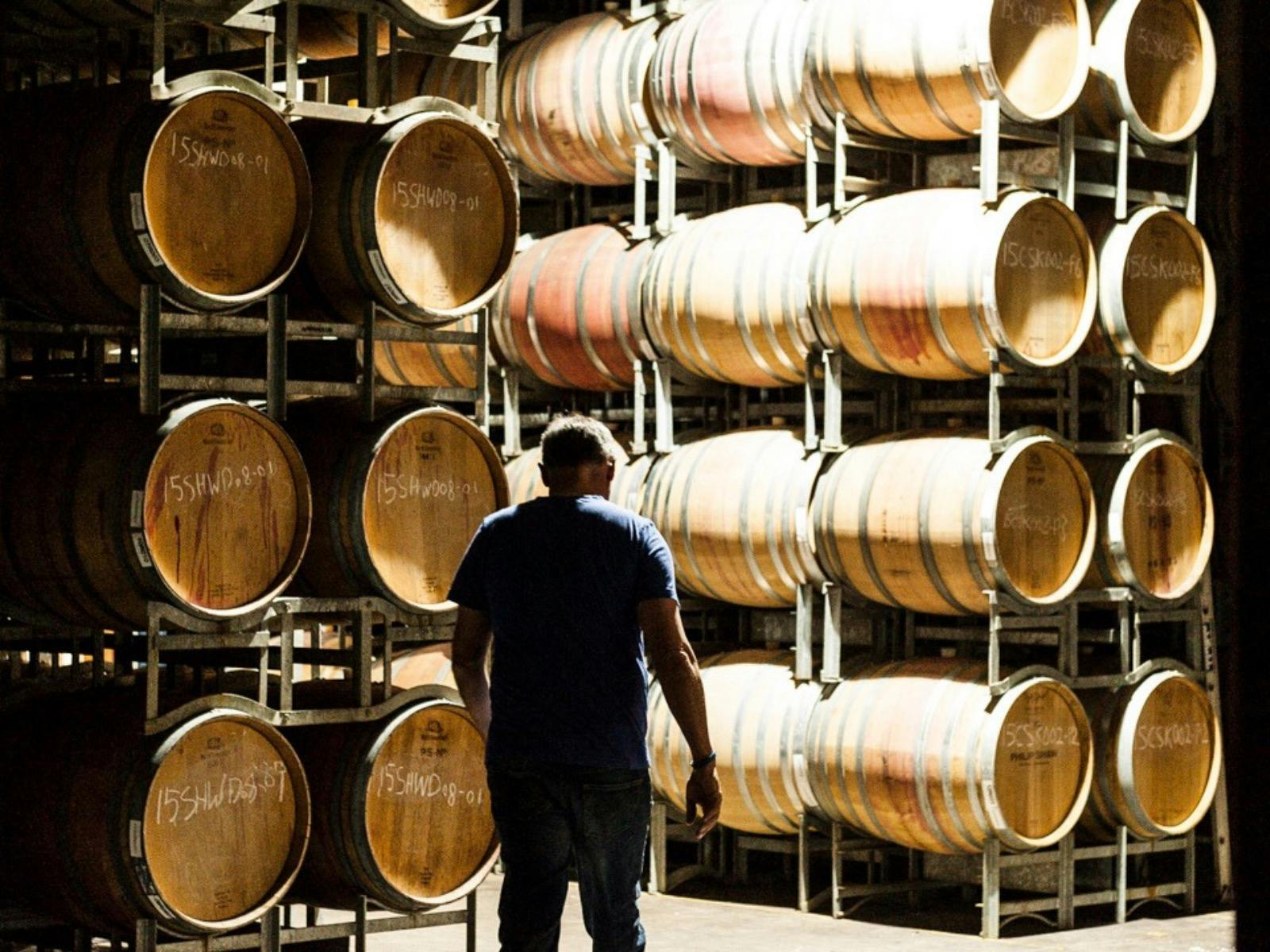 Philip Shaw Cellar Door