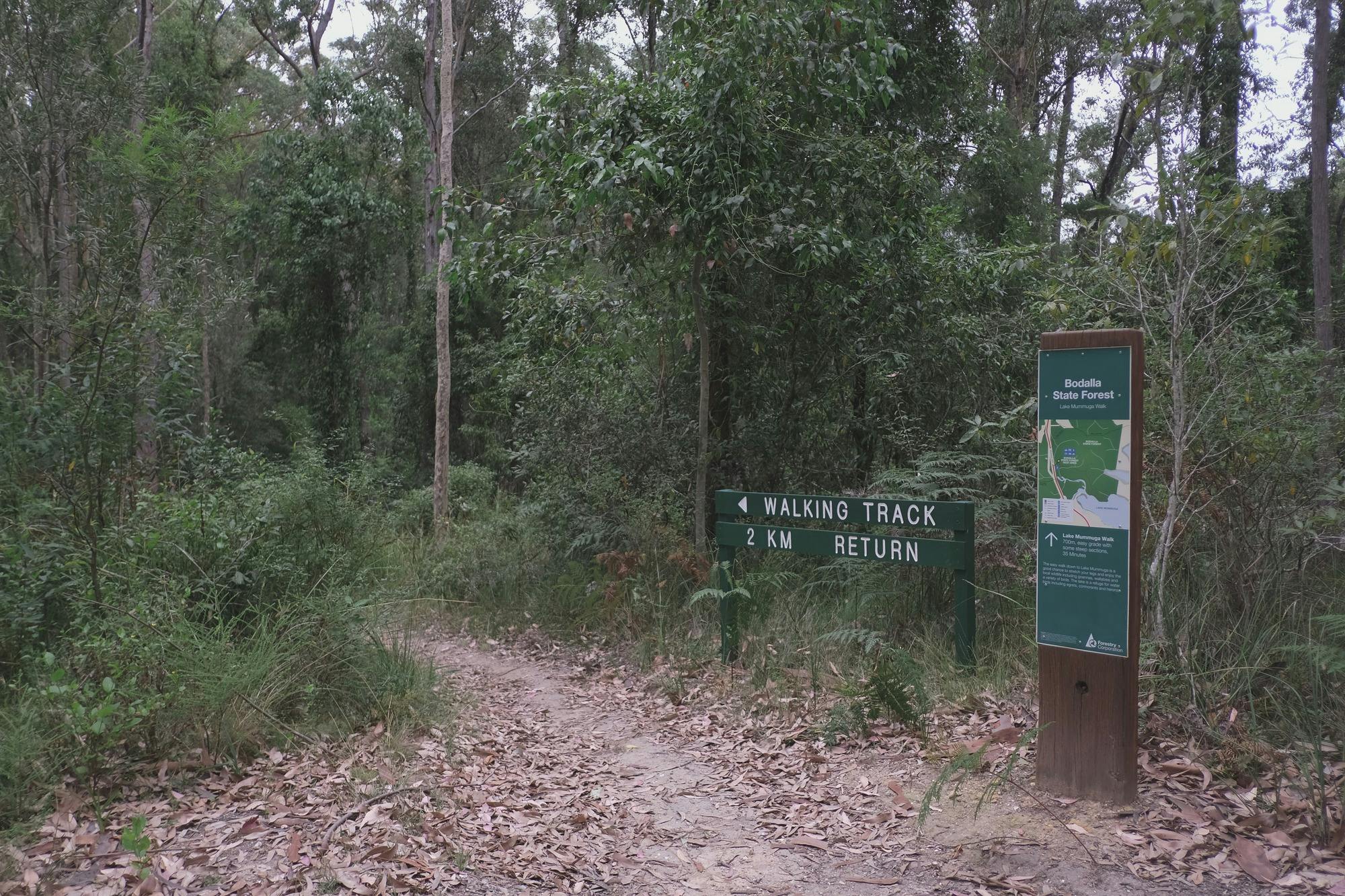 Signage at the track head to Lake Mummuga Wellness Walk
