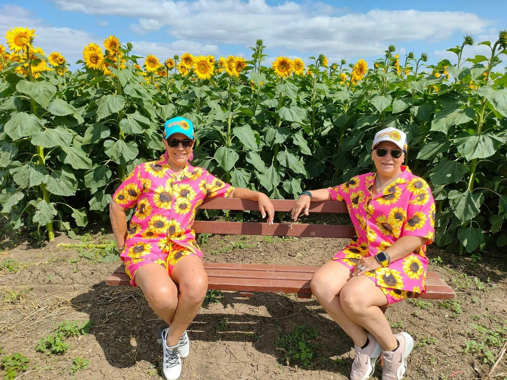 Sunflowers On Kents