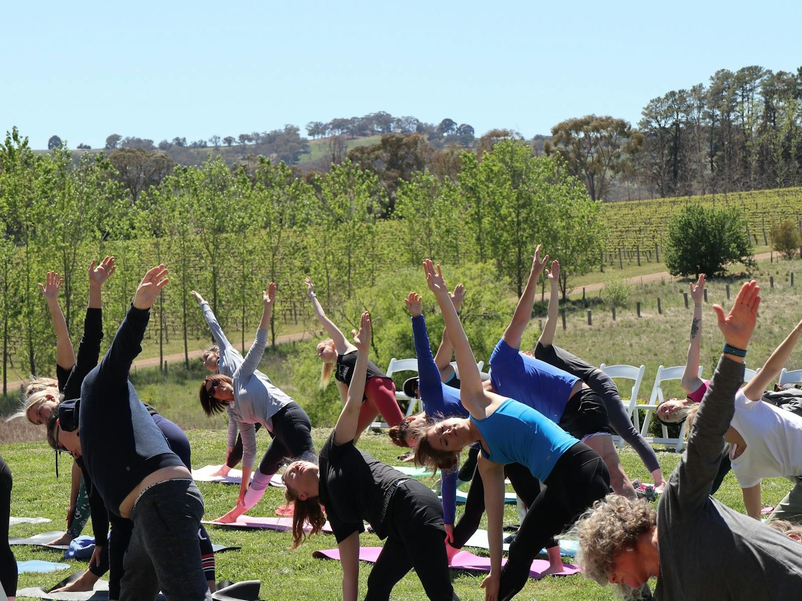 Image for Yoga in the Vines