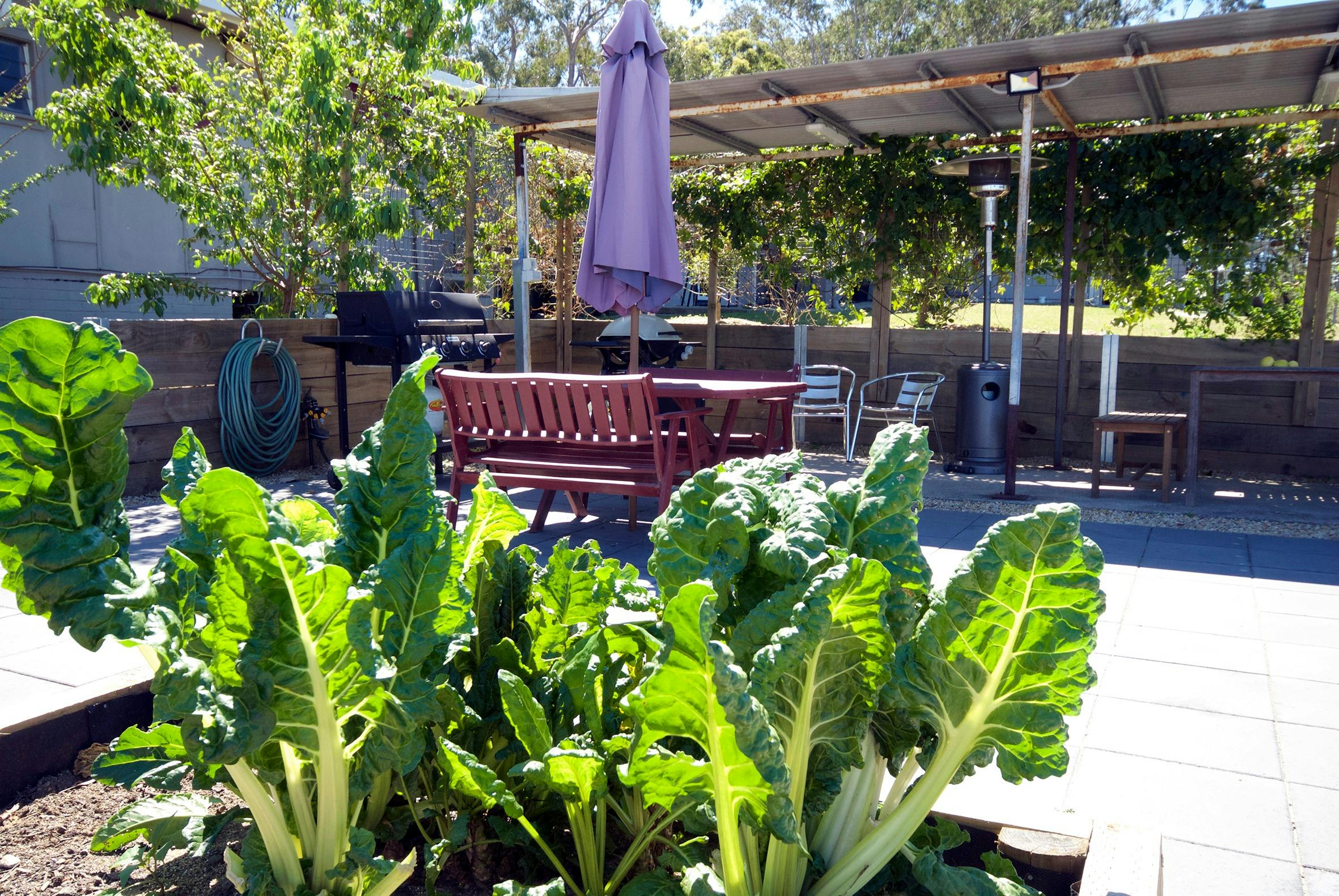 バーベキューエリア