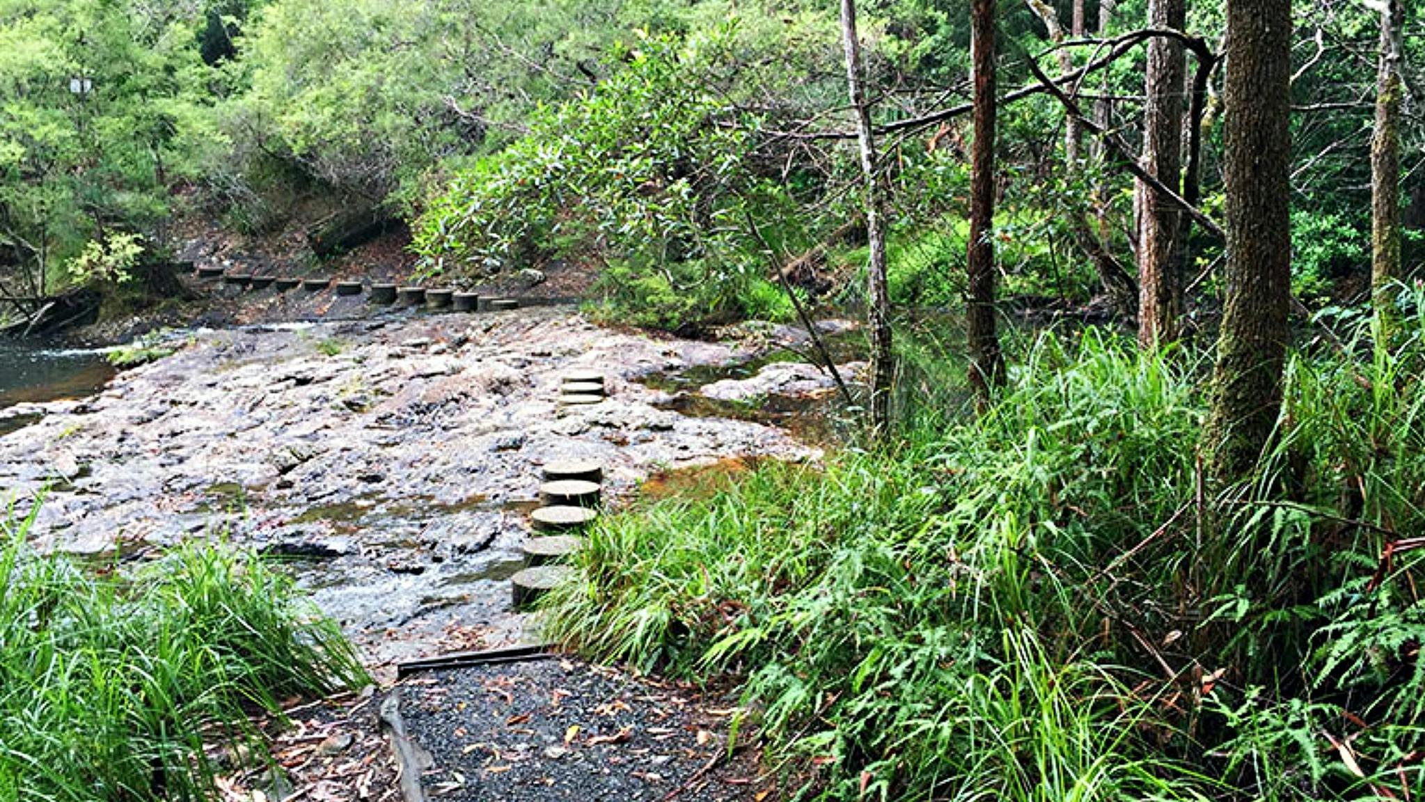 Stepping stones across the creek on Minyon Falls walking track. Photo: OEH/Natasha Webb