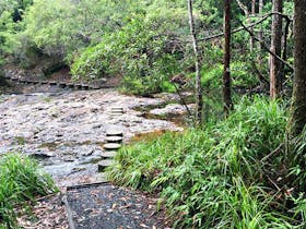 Minyon Loop Walking Track