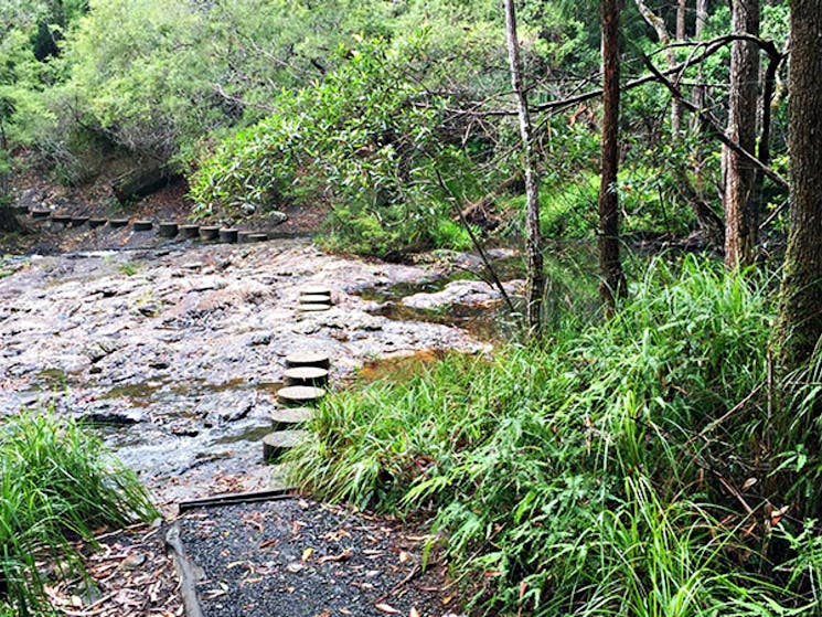 Stepping stones across the creek on Minyon Falls walking track. Photo: OEH/Natasha Webb