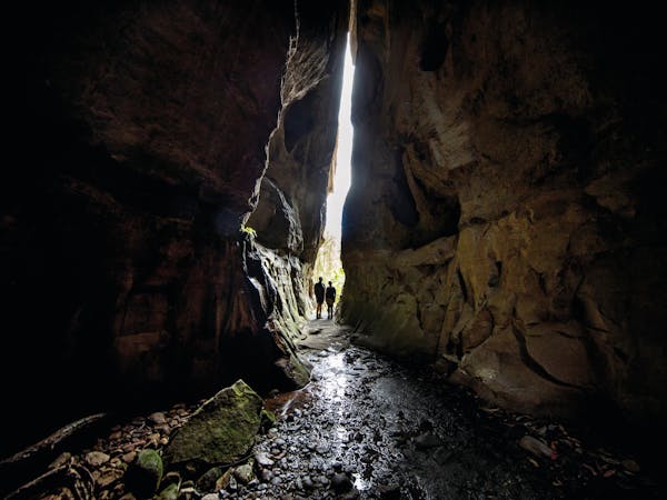 Carnarvon Gorge