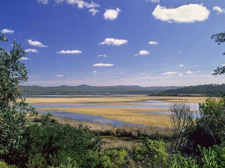 Bournda National Park. Photo: A Brown/NSW Government