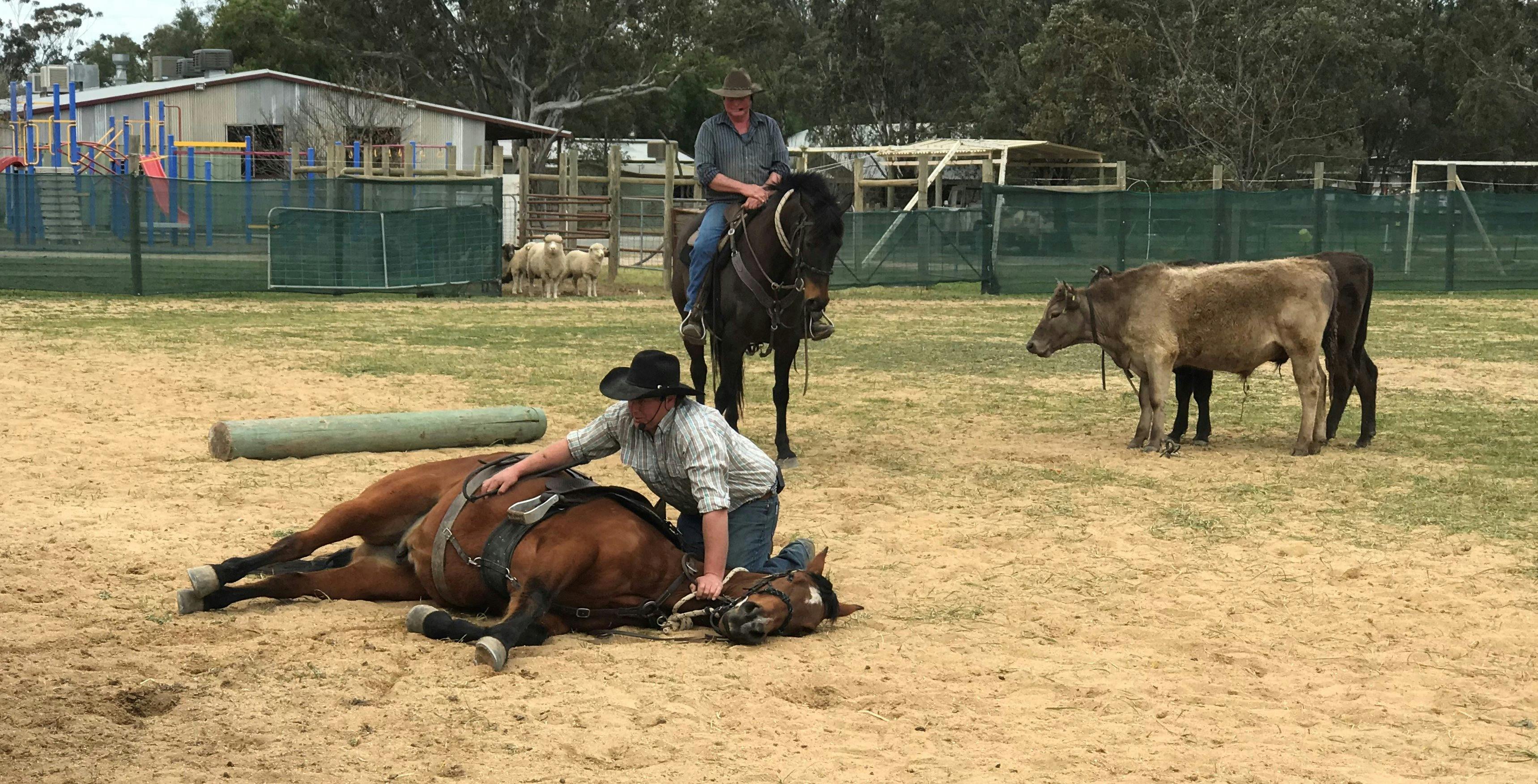 Where The Long Paddock Meets The Murray