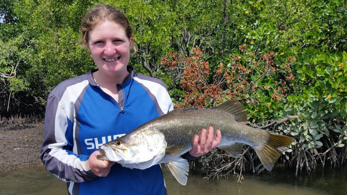 Barramundi