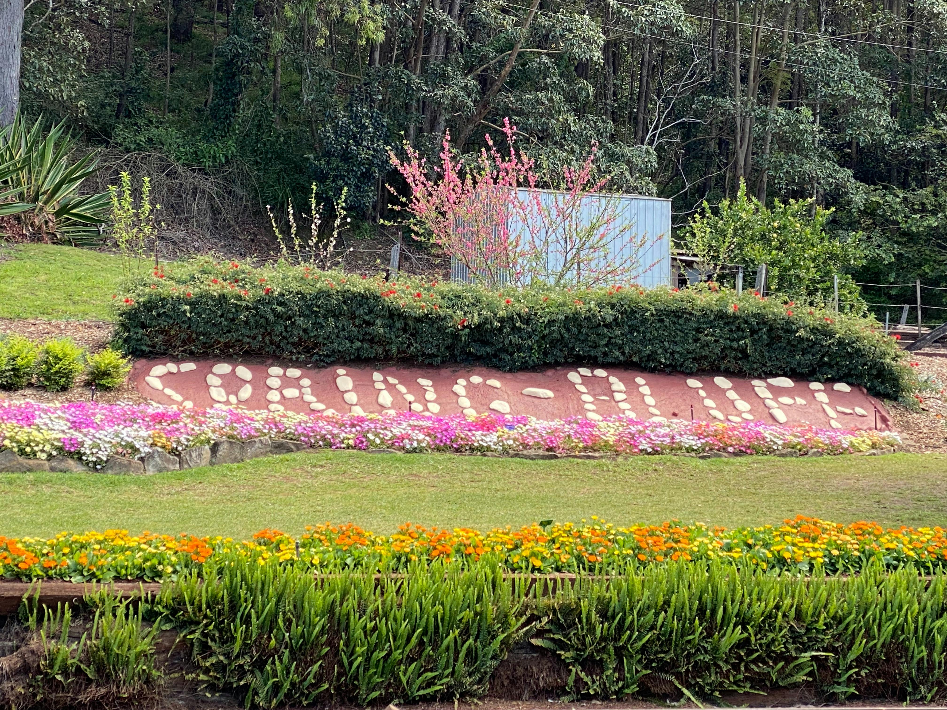 Pink and yellow flowers spell out the words "Spring Bluff"