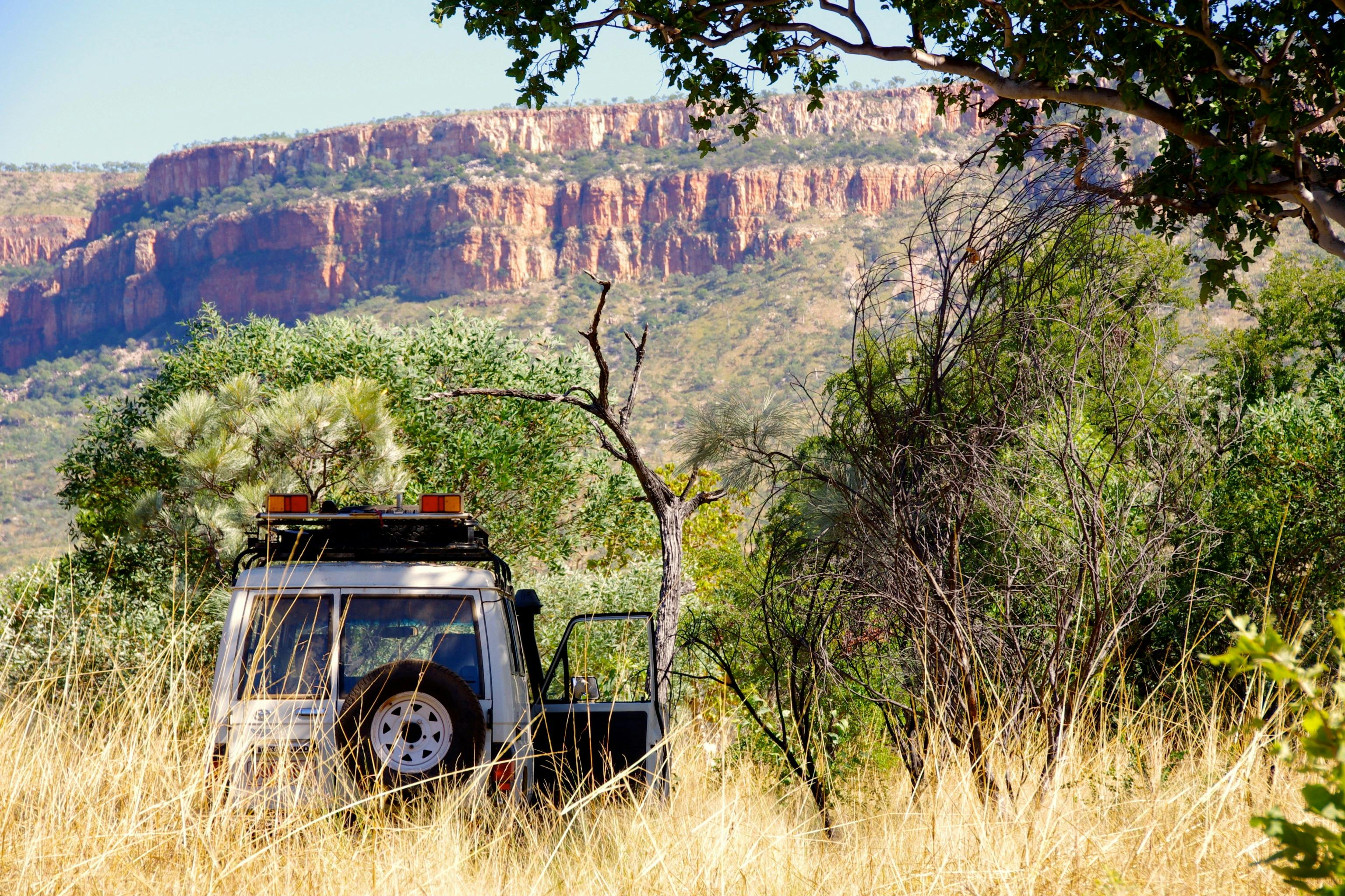a four wheel drive vehicle parked in the grass